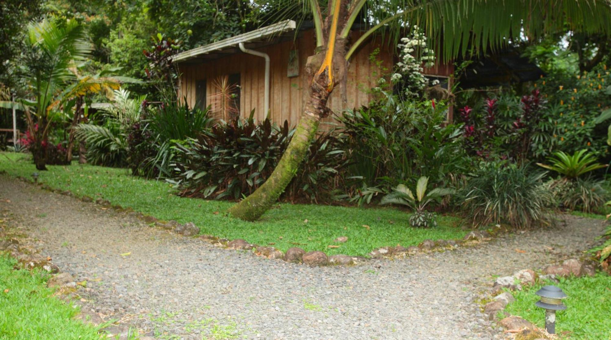 Casa Rio Blanco Eco Friendly B&B Guapiles Exterior photo