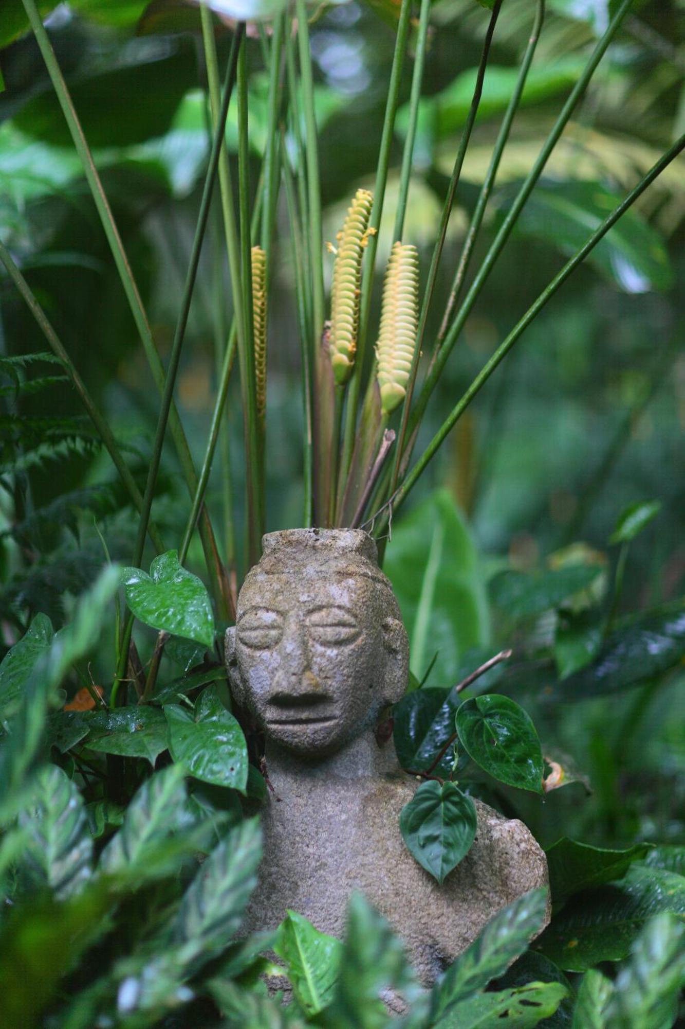 Casa Rio Blanco Eco Friendly B&B Guapiles Exterior photo
