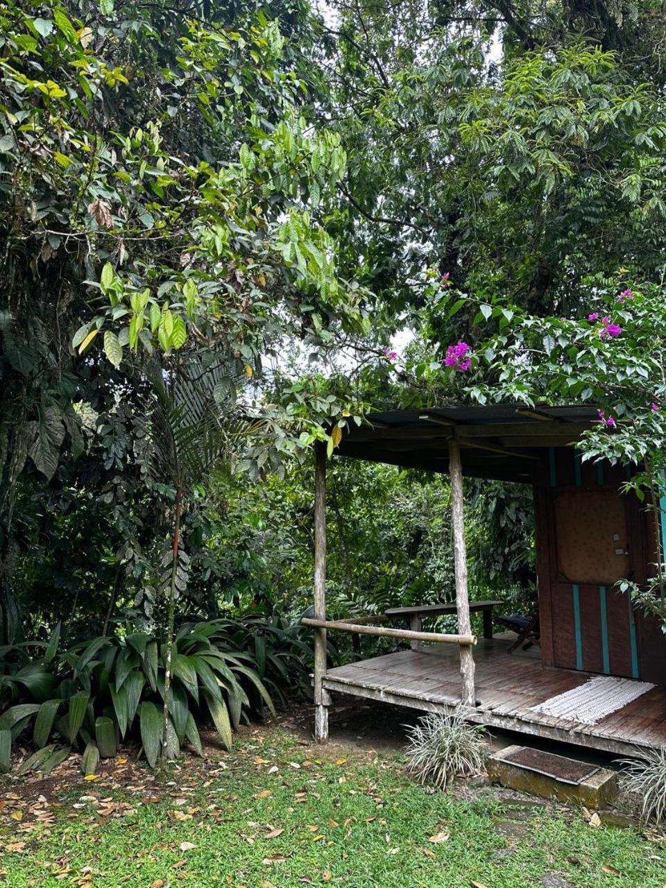 Casa Rio Blanco Eco Friendly B&B Guapiles Exterior photo