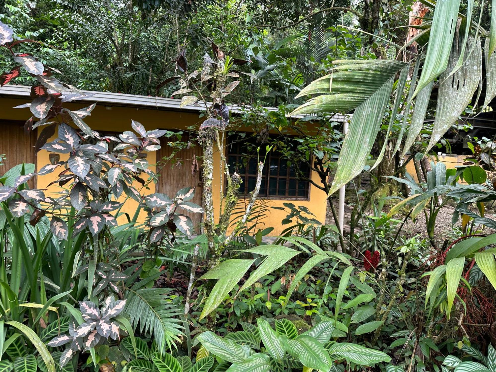Casa Rio Blanco Eco Friendly B&B Guapiles Exterior photo