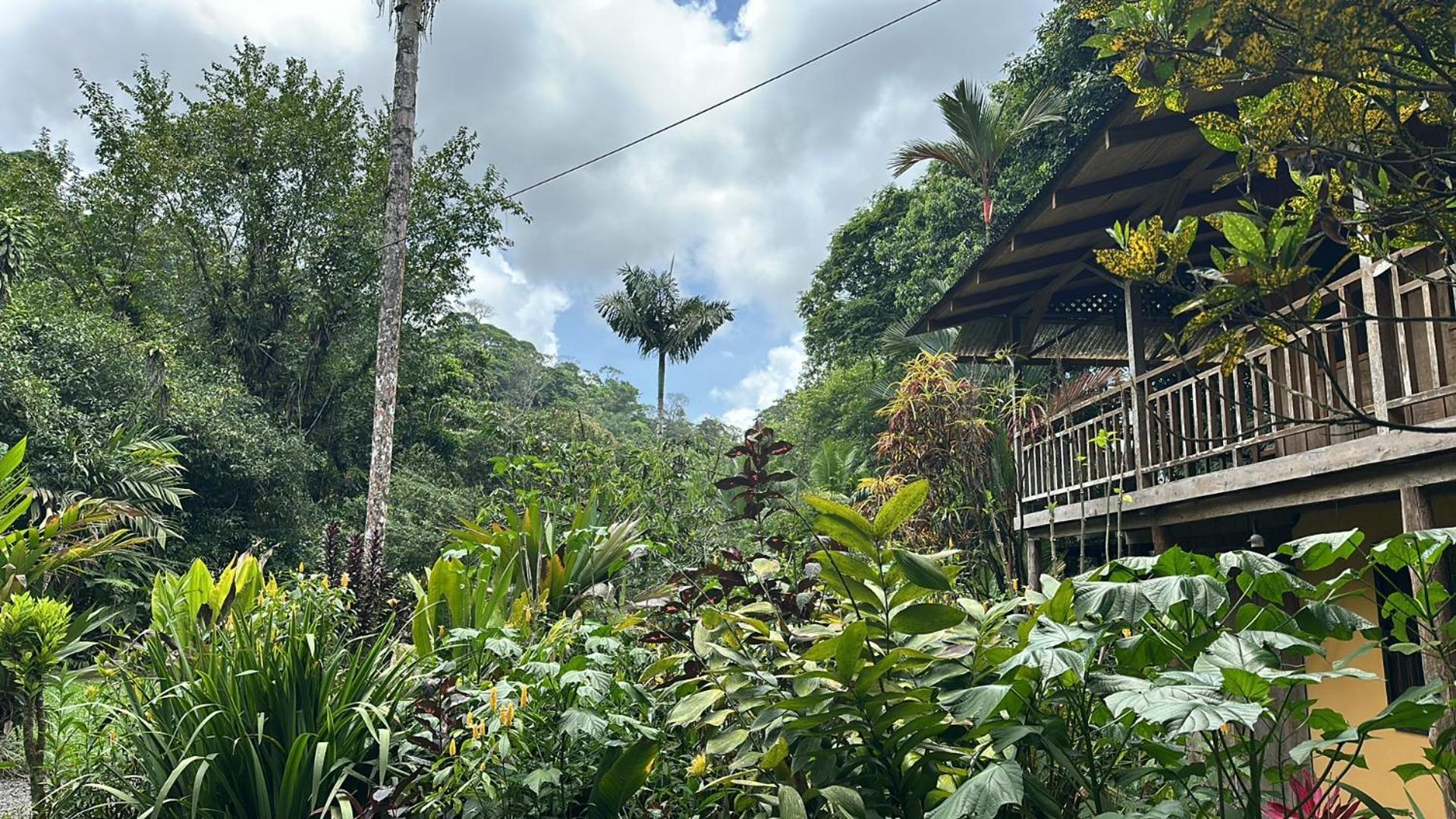 Casa Rio Blanco Eco Friendly B&B Guapiles Exterior photo