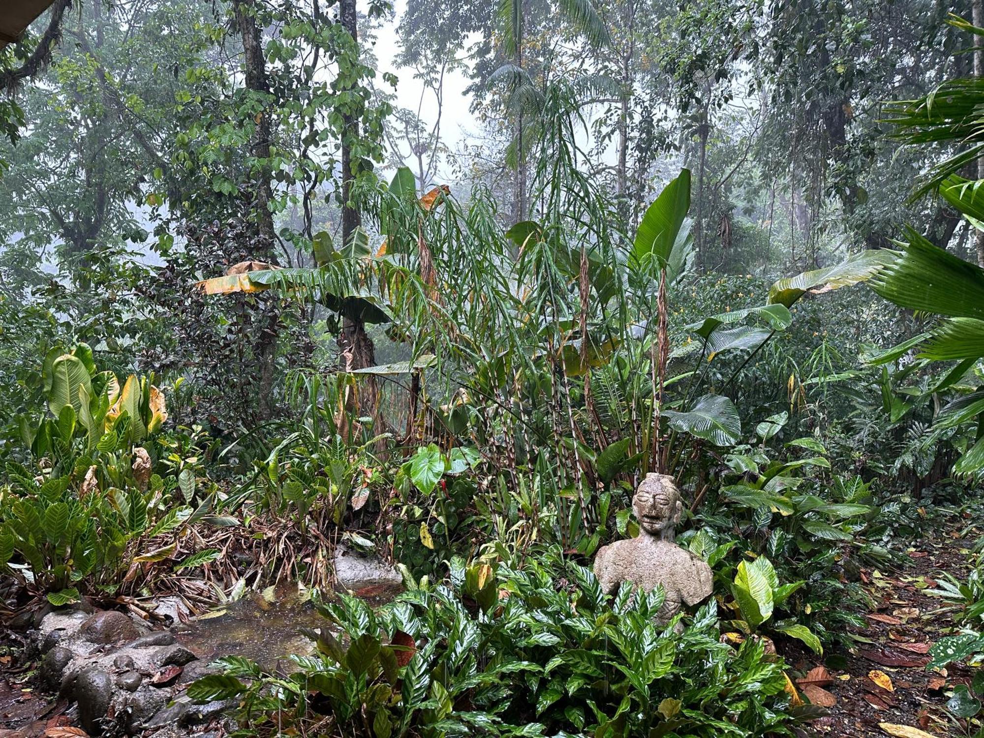 Casa Rio Blanco Eco Friendly B&B Guapiles Exterior photo