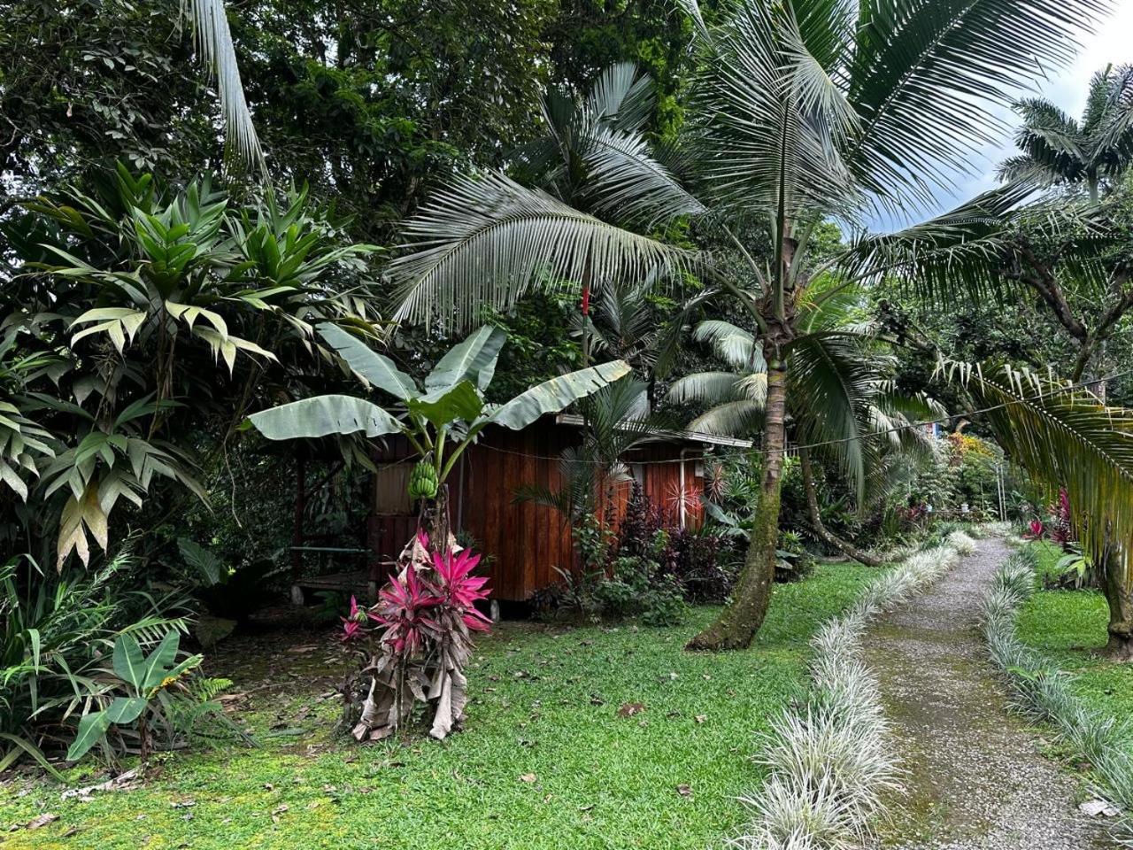 Casa Rio Blanco Eco Friendly B&B Guapiles Exterior photo