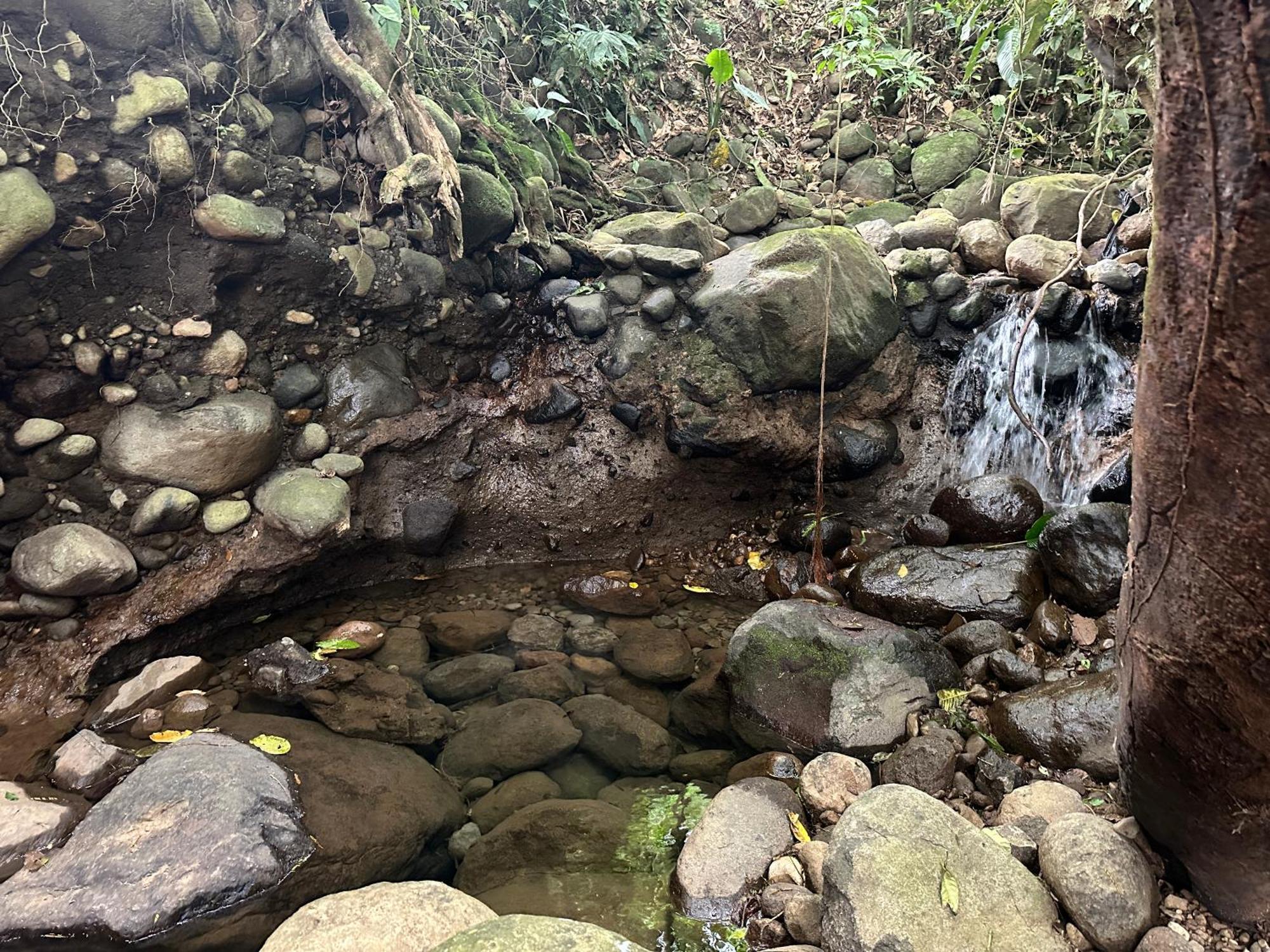 Casa Rio Blanco Eco Friendly B&B Guapiles Exterior photo